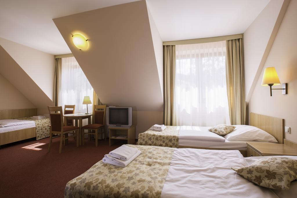 Ski Hotel Piwniczna-Zdroj Экстерьер фото